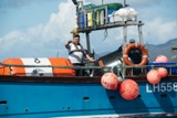 lodestar lh558 whyw22 thur 800_2817yi